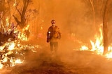 A firefighter in the middle of a blaze faces the camera