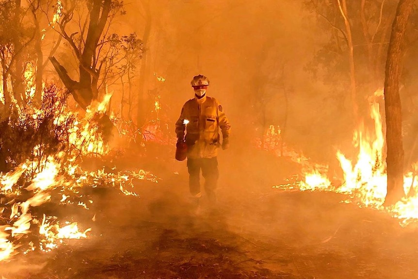 Some areas go from wet to dry too quickly to quickly to safely burn ahead of bushfire season.