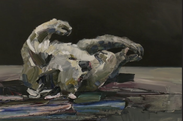 oil painting of roadkill koala