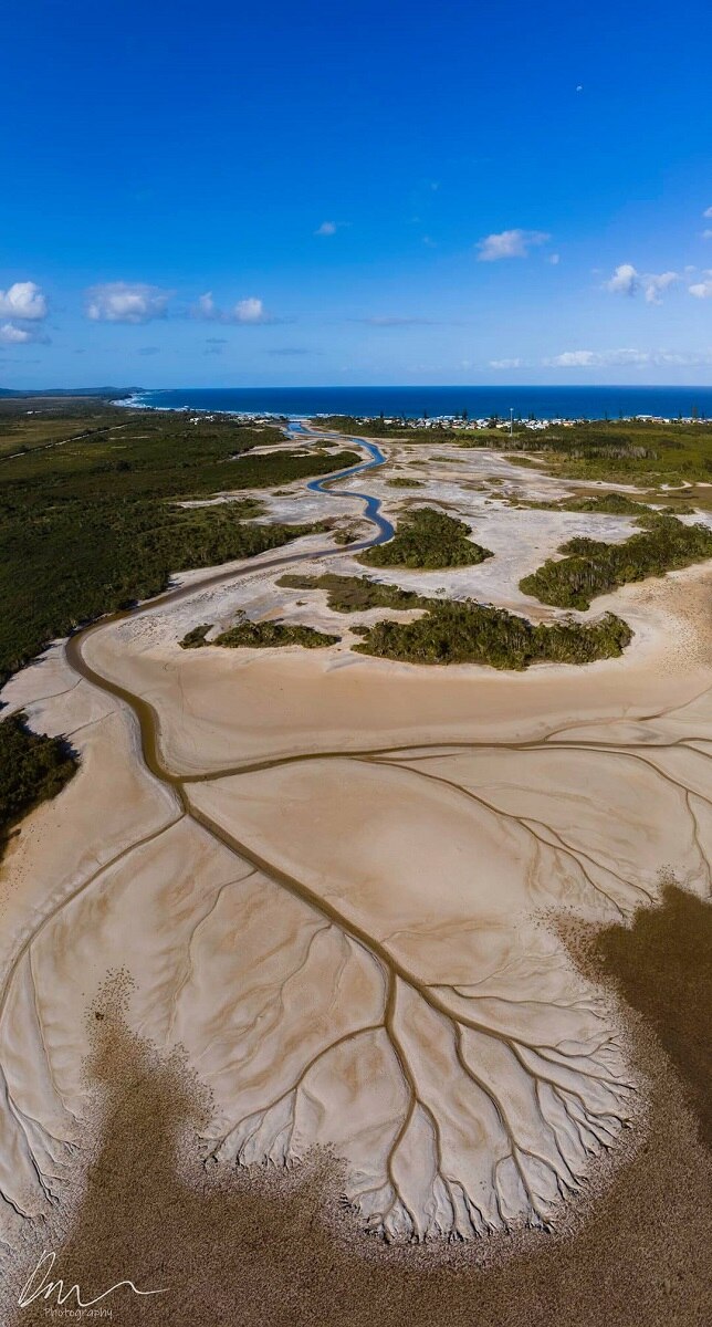 Aerial photos of Lake Cakora at Brooms Head reveal spectacular 'tree of