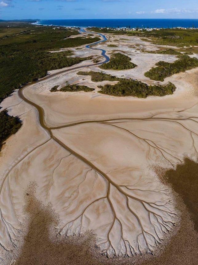 An estuary from the sea that spreads out on the sand like tree roots.