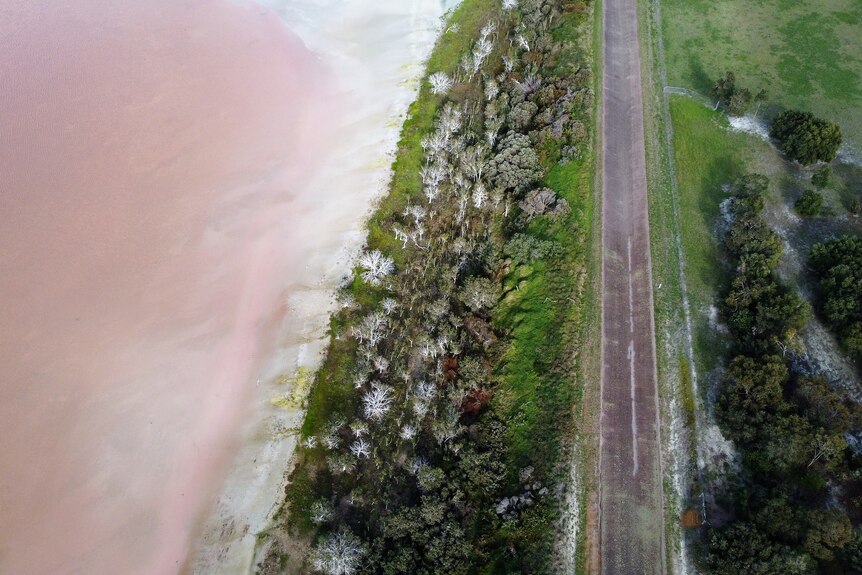 A drone shot showing a pink lake, bushland and a road.