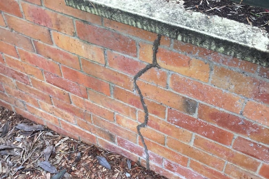 A termite track leading from the ground to a wooden window sill.
