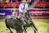 A man wearing a hat shirt and tie rides a horse while mustering a cow in an arena