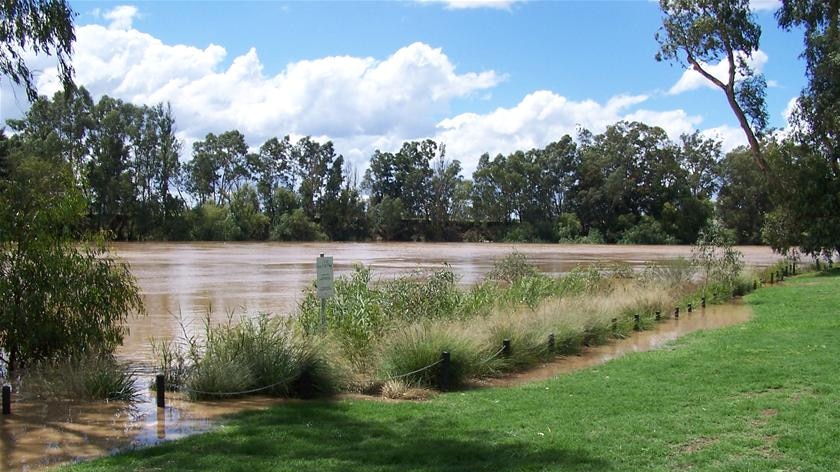 water levels on the Murrumbidgee River