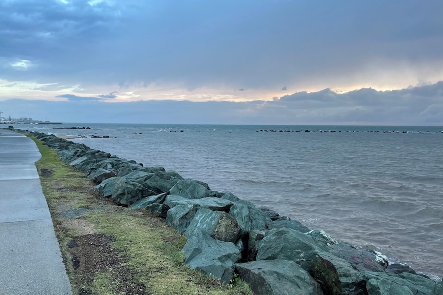 redcliffe foreshore clodus