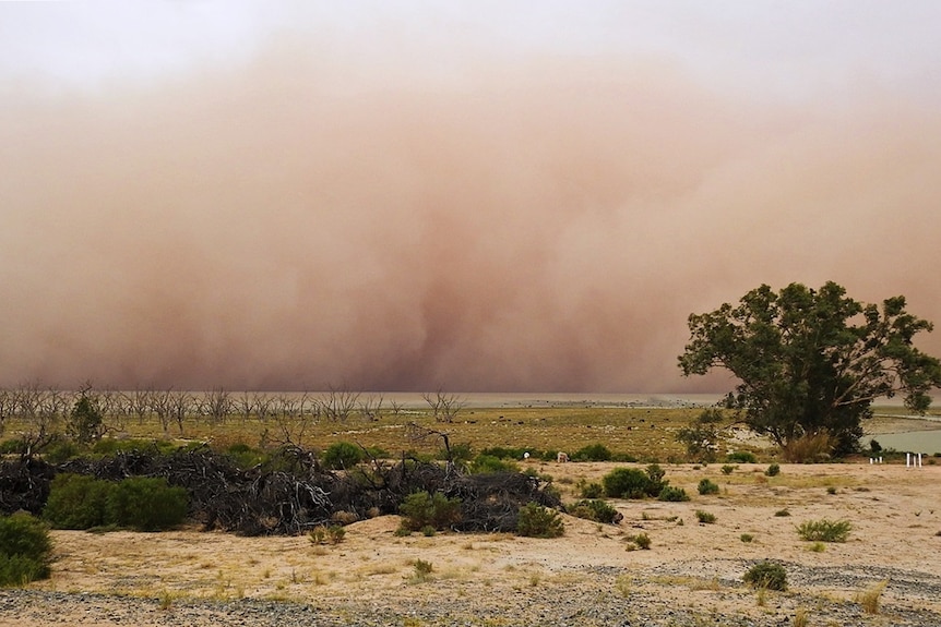 A dust storm fills the sky with red dust over a dry landscape.