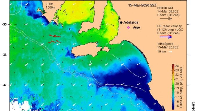 A satellite-generated depiction of the Bonney Upwelling.
