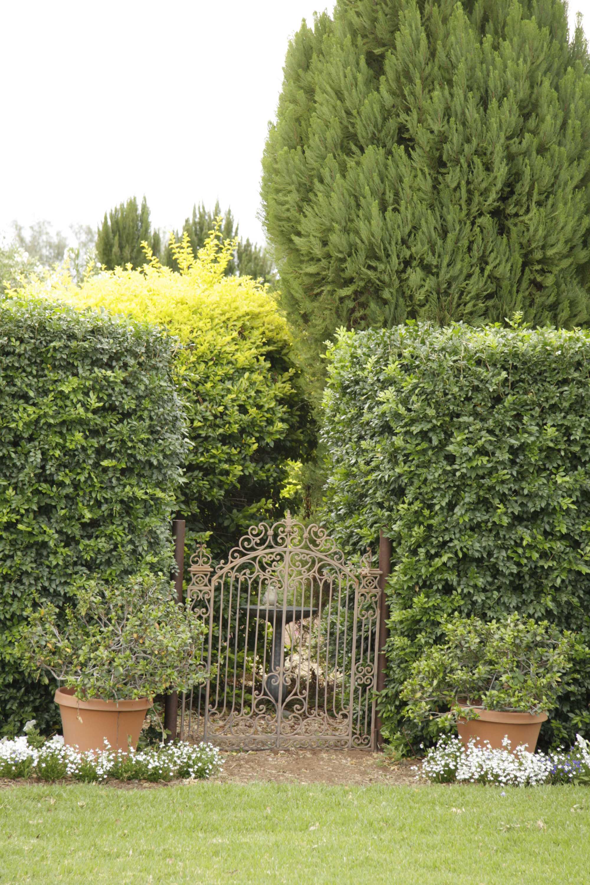 How Lindy changed her vista from drought to oasis