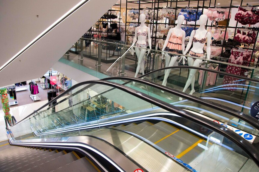 Interior of a Myer department store