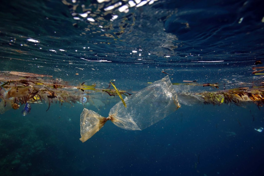 Switching to reusable bags can drastically reduce your plastic consumption