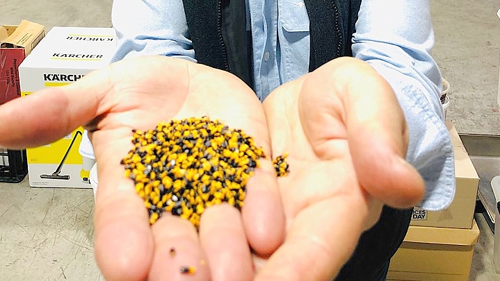 Chef Andrew Fielke holding wattle seed in his hands outstretched.