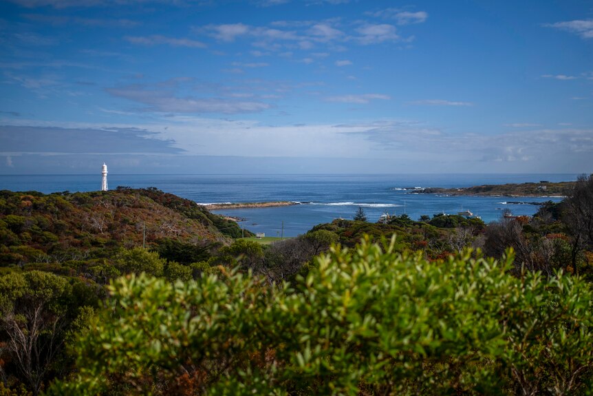 A small white lighthouse rises above green foliage and the ocean in the background.