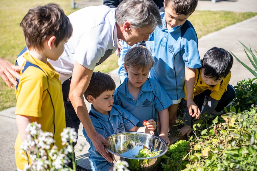 A woman surrounded by primary school students picks vegetables from a garden.