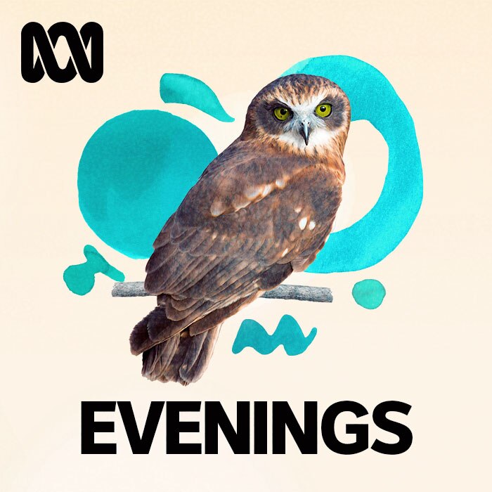 Evenings program image featuring an owl