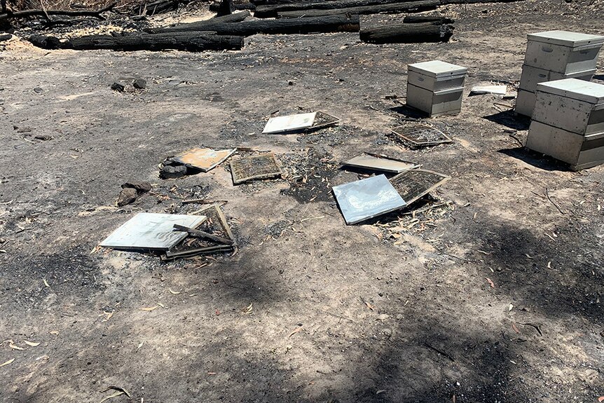Burnt and damaged beehives lie shattered on burnt-out ground.