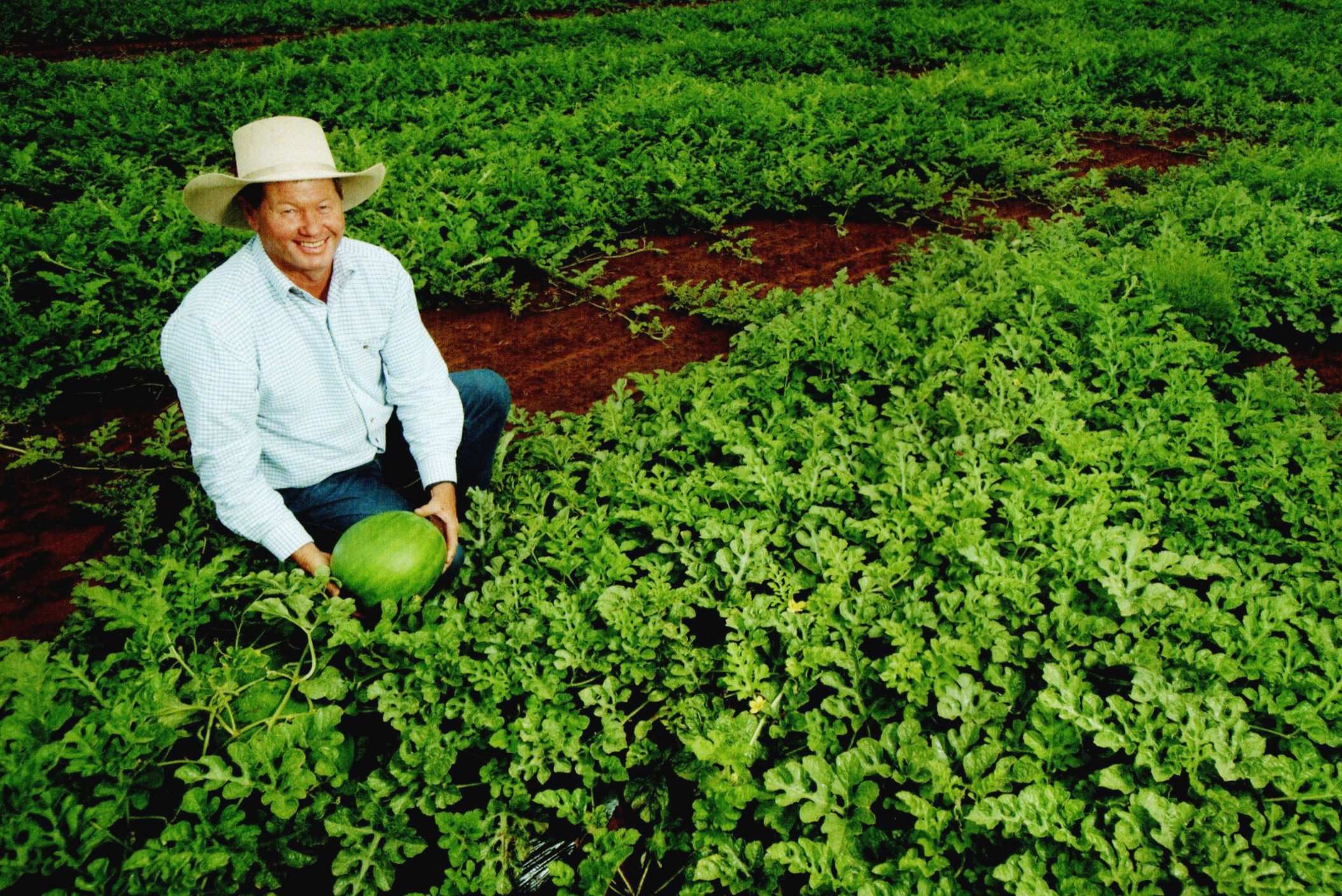 School leavers swap lazy days for hard yakka fruit picking on farmers