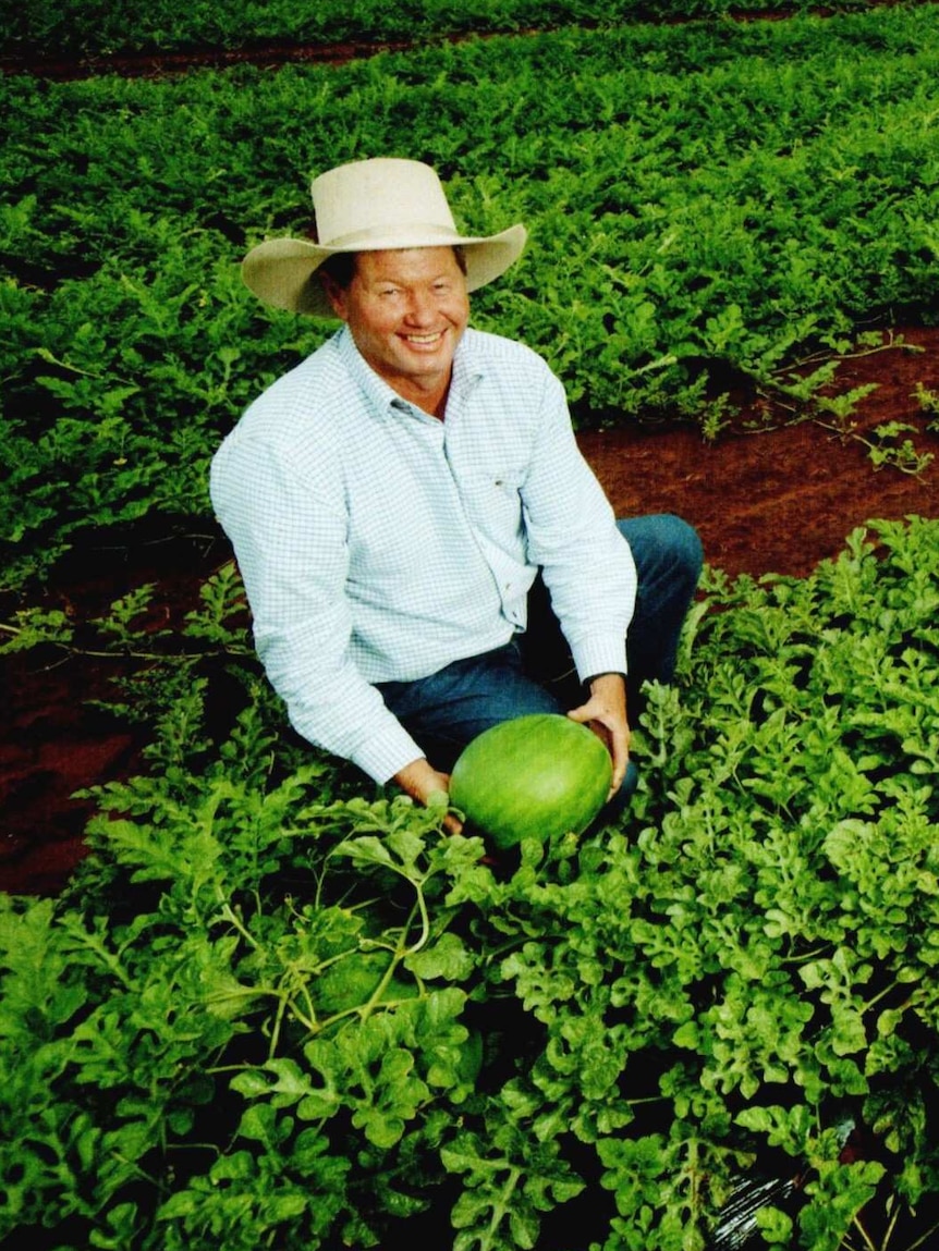 Chinchilla melon farmer Murray Sturgess in the middle of his crop