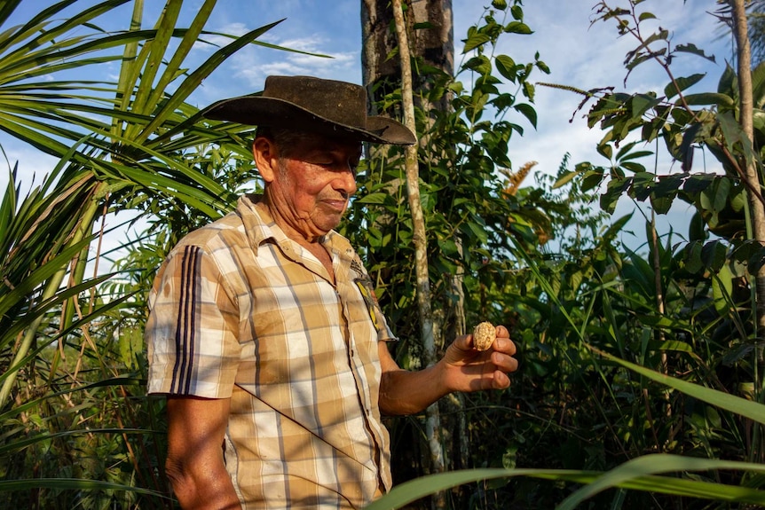 A man holds a seed in his hands with green forest around.