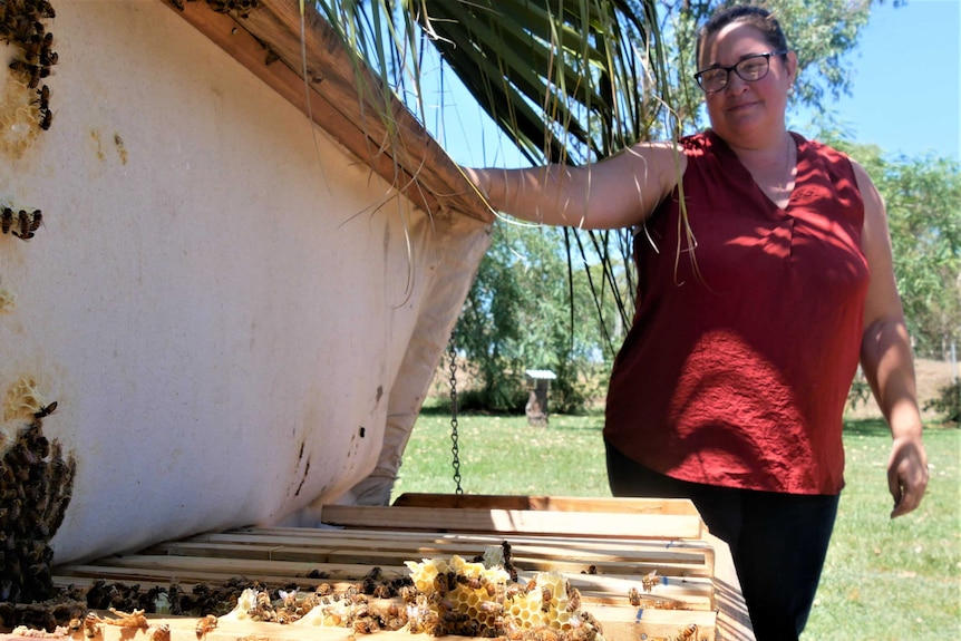 A woman smiles while she holds the lid of a bee hive open. Inside bees crawl over honeycomb that they're building slowly.