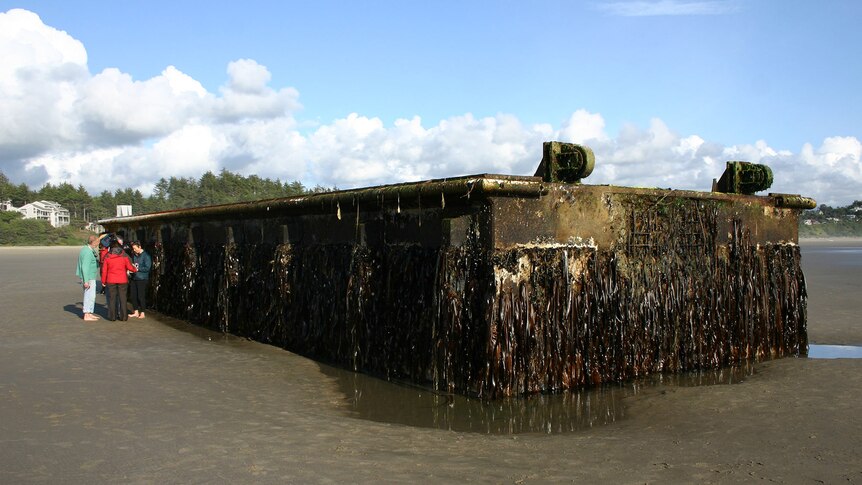 Japanese dock washes up in US