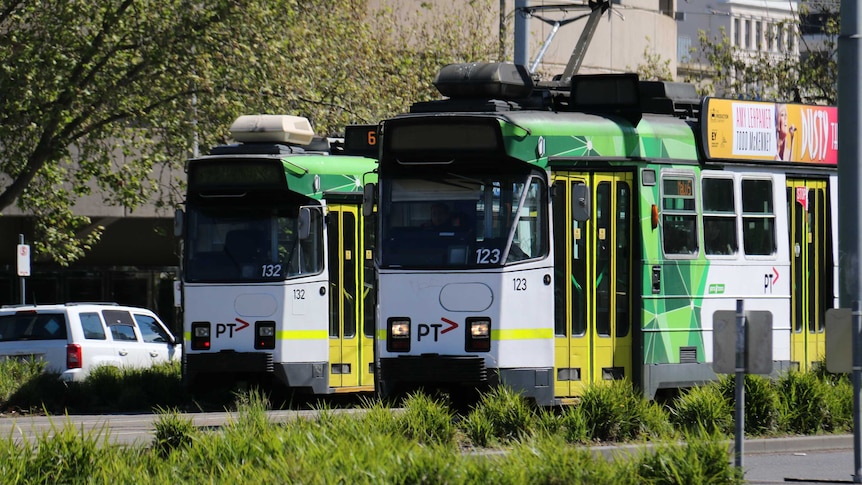 Two stationary Melbourne trams