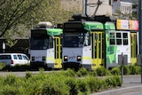 Two stationary Melbourne trams