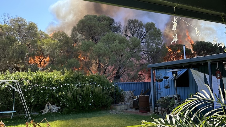 Flames and smokes visible behind trees of a suburban backyard with shed, swing, clothesline, lights. 
