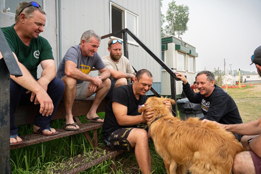 A group of men sit on the steps of a demountable building and play with a golden retriever dog.