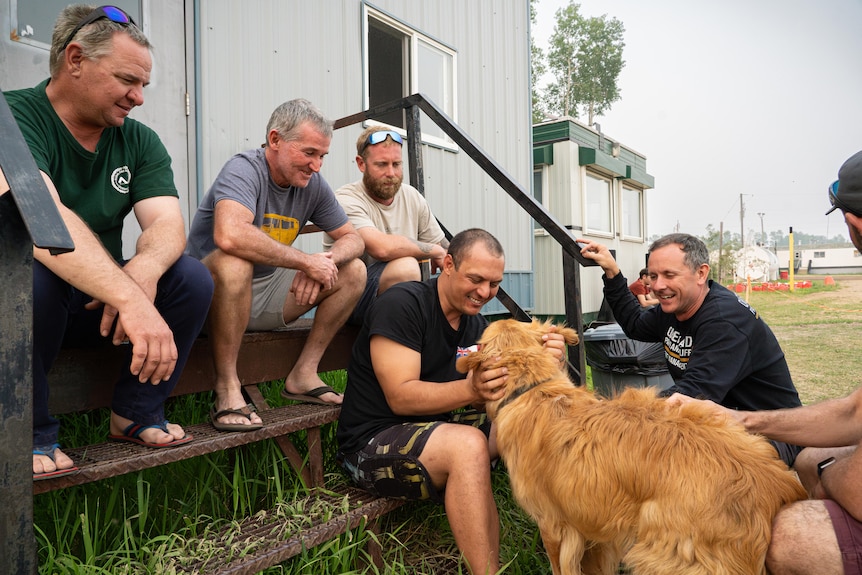 A group of men sit on the steps of a demountable building and play with a golden retriever dog.