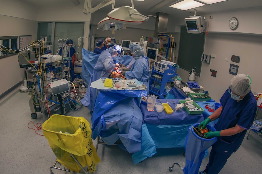 Doctors perform surgery at the Epworth Hospital