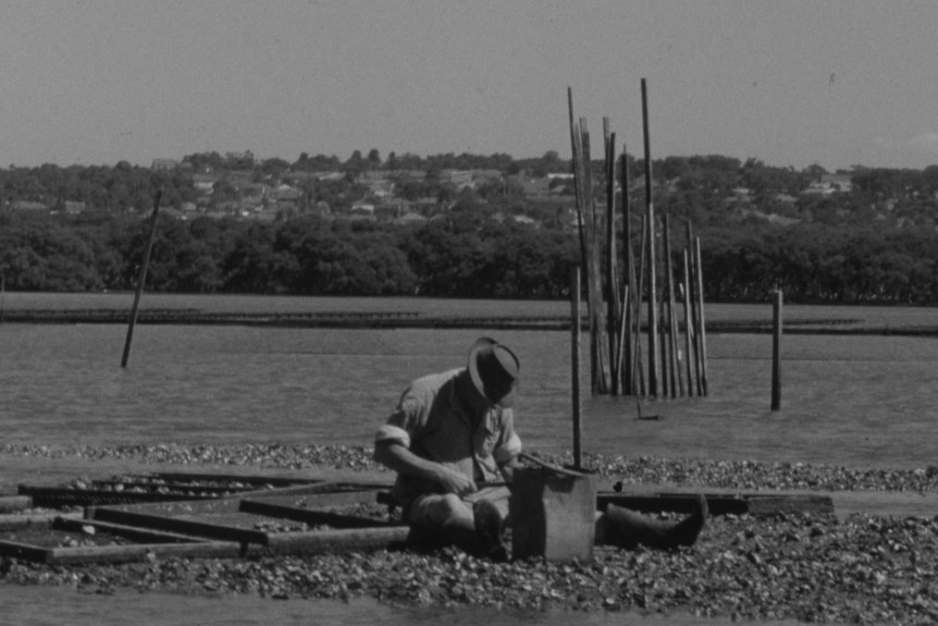 A man working on an oyster farm on a river