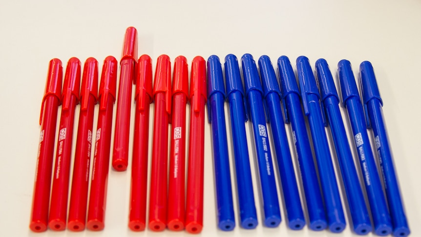 Coloured pens lined up separately in red and blue colours.