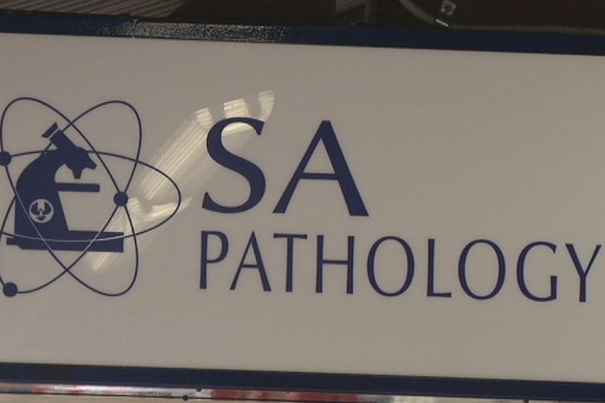 Reports describes ``dysfunctional'' SA Pathology