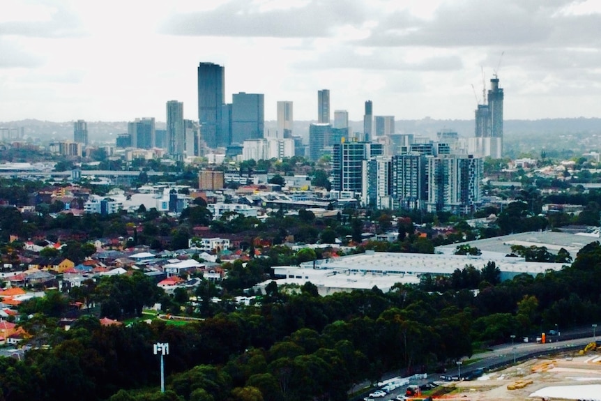 Aerial view of Parramatta CBD with high-rises in the background. Trees in the front.