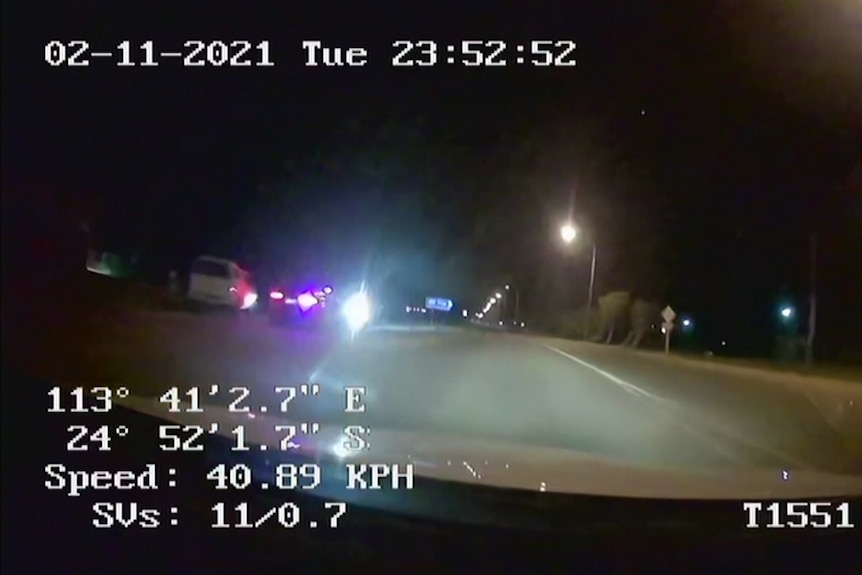Dashcam footage of an arrest