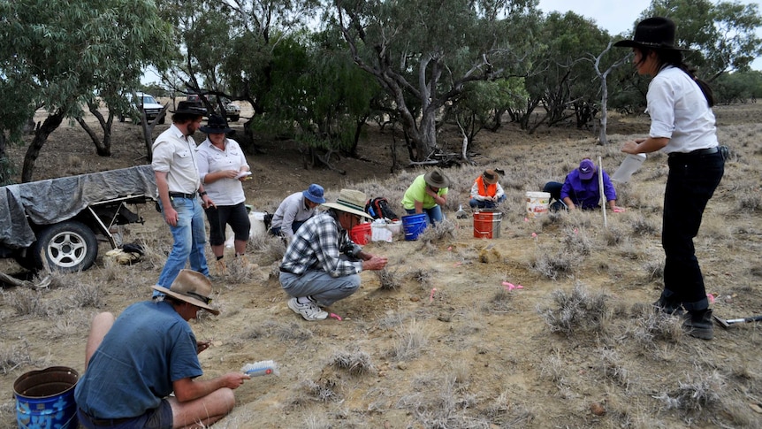 A group of people looking for fossils in outback Queensland.