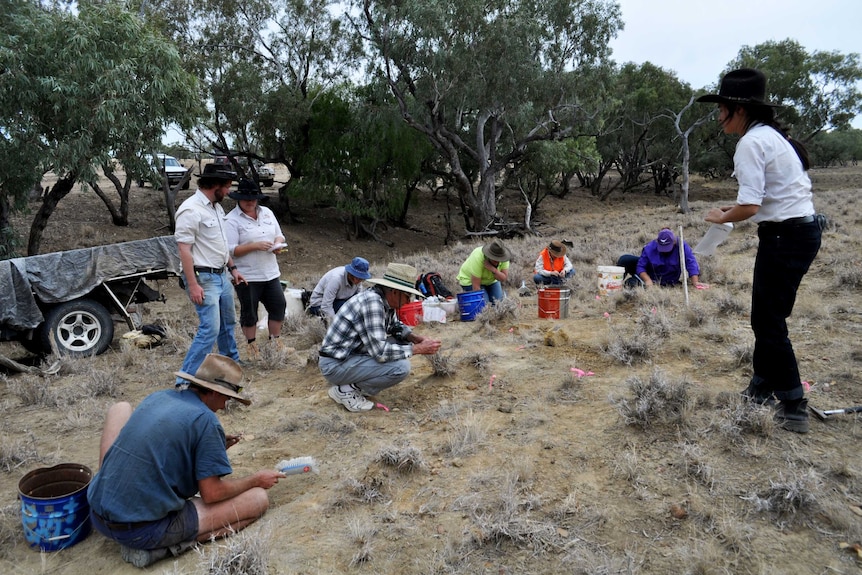 A group of people looking for fossils in outback Queensland.