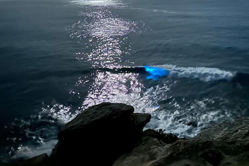 A blob of blue in the foam of a wave, highlighted by moonlight on the ocean.