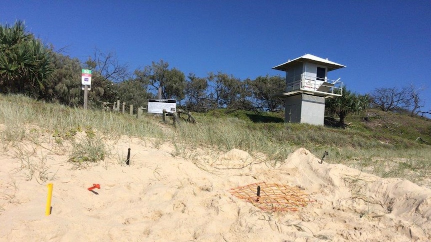 A turtle nest is cordoned off on the beach. It is in front of where a development is proposed.