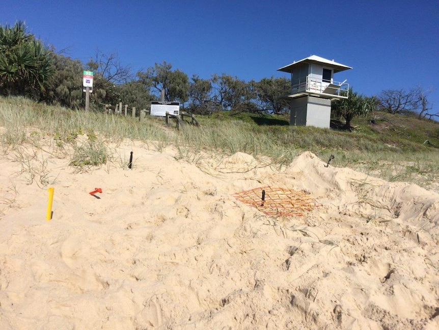 A turtle nest is cordoned off on the beach. It is in front of where a development is proposed.