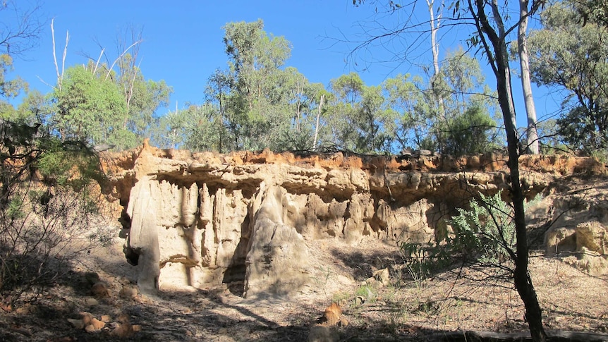 Bennets Gully in Queensland.