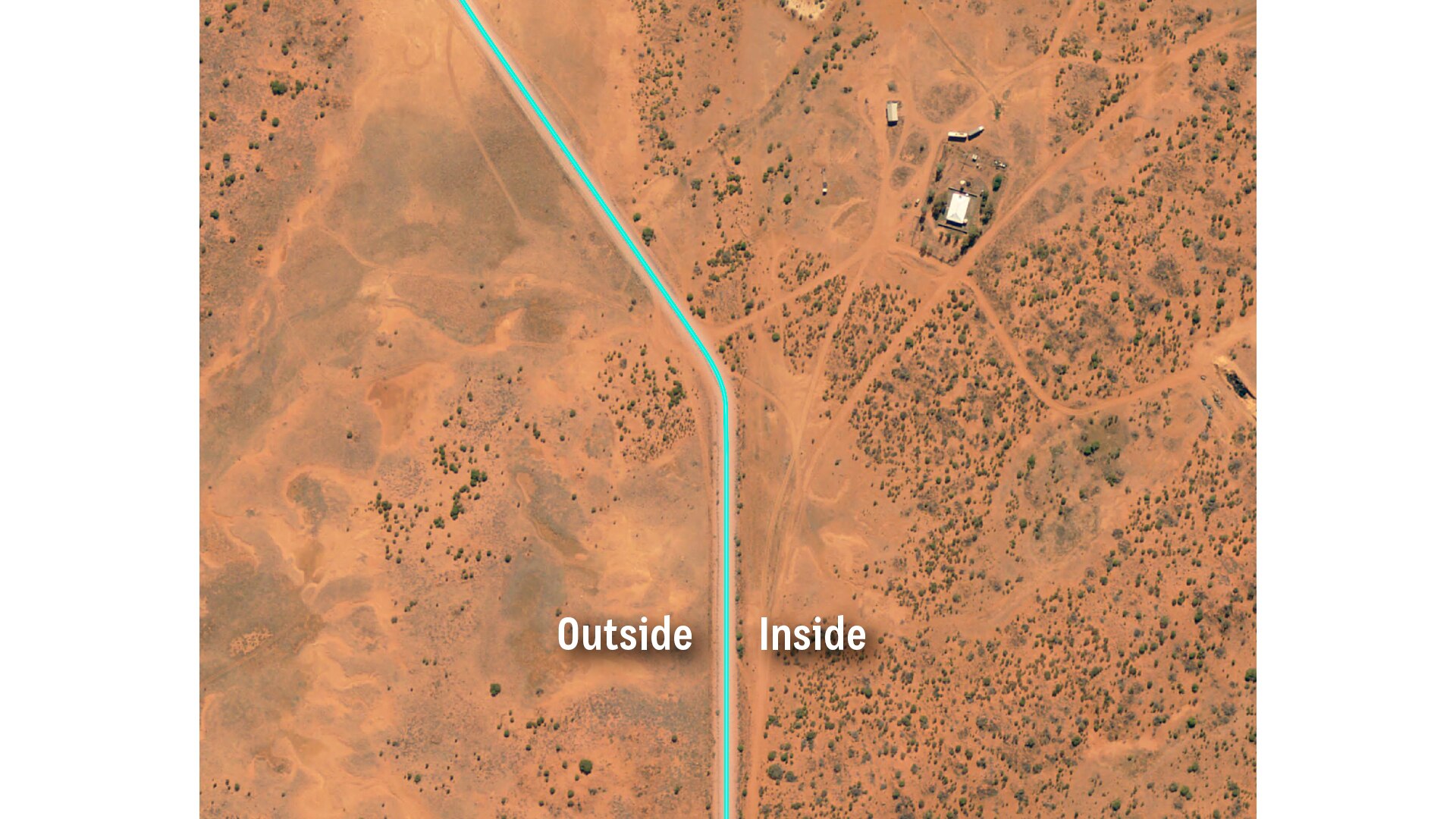 The dingo fence is the world's longest and has cascading effects on the