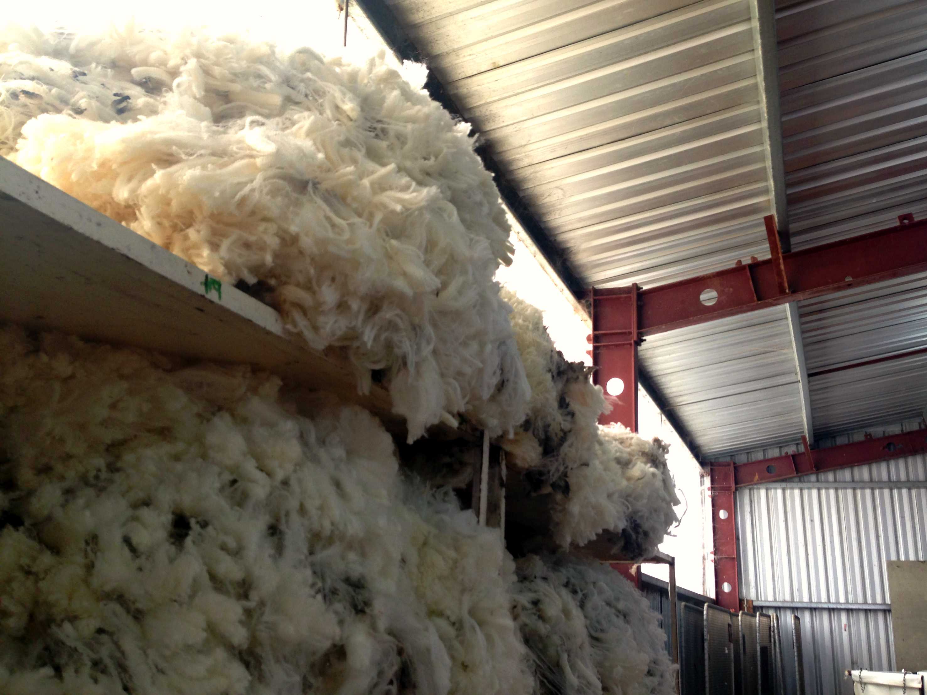 Wool market continues ‘topsy-turvy’ stretch - ABC News