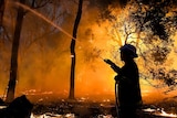 A firefighter fights a blaze at Yanchep.