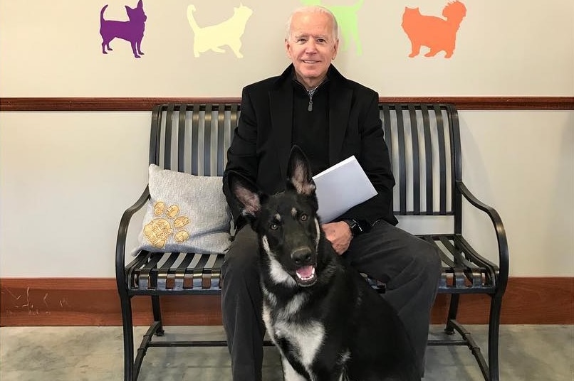 Among the Democratic front-runners, Joe Biden shares his life with a German shepherd, Major.