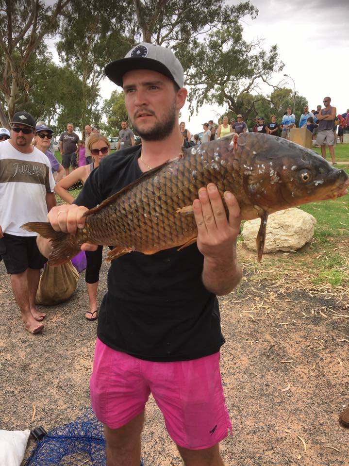 SA Carp Frenzy catch