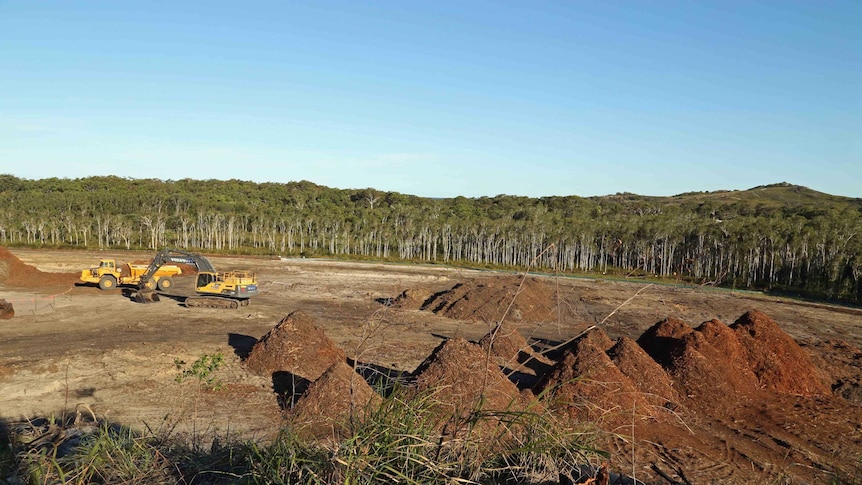 Coolum Ridges clearing