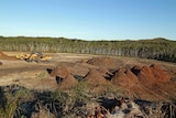 Coolum Ridges clearing