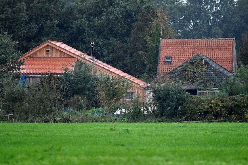 Several farmhouses with pitched roofs are seen, obscured by trees. Green field in foreground